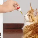 Medication
